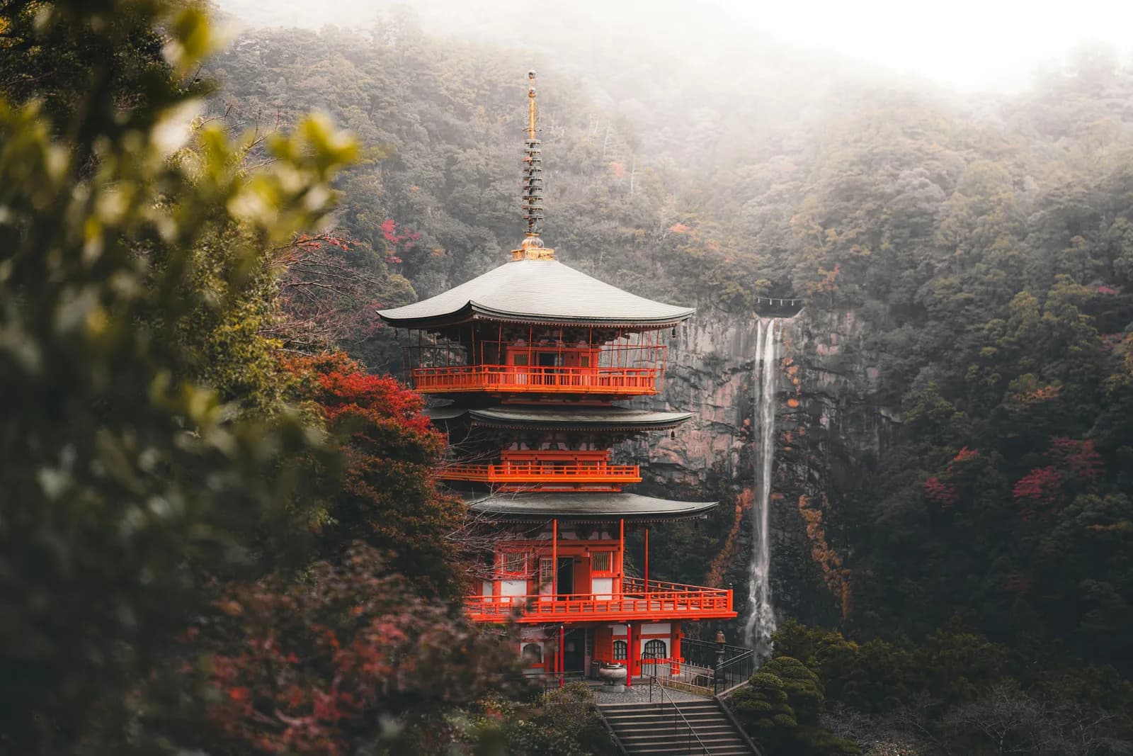 Kyoto, Off-Season, Between the Maples