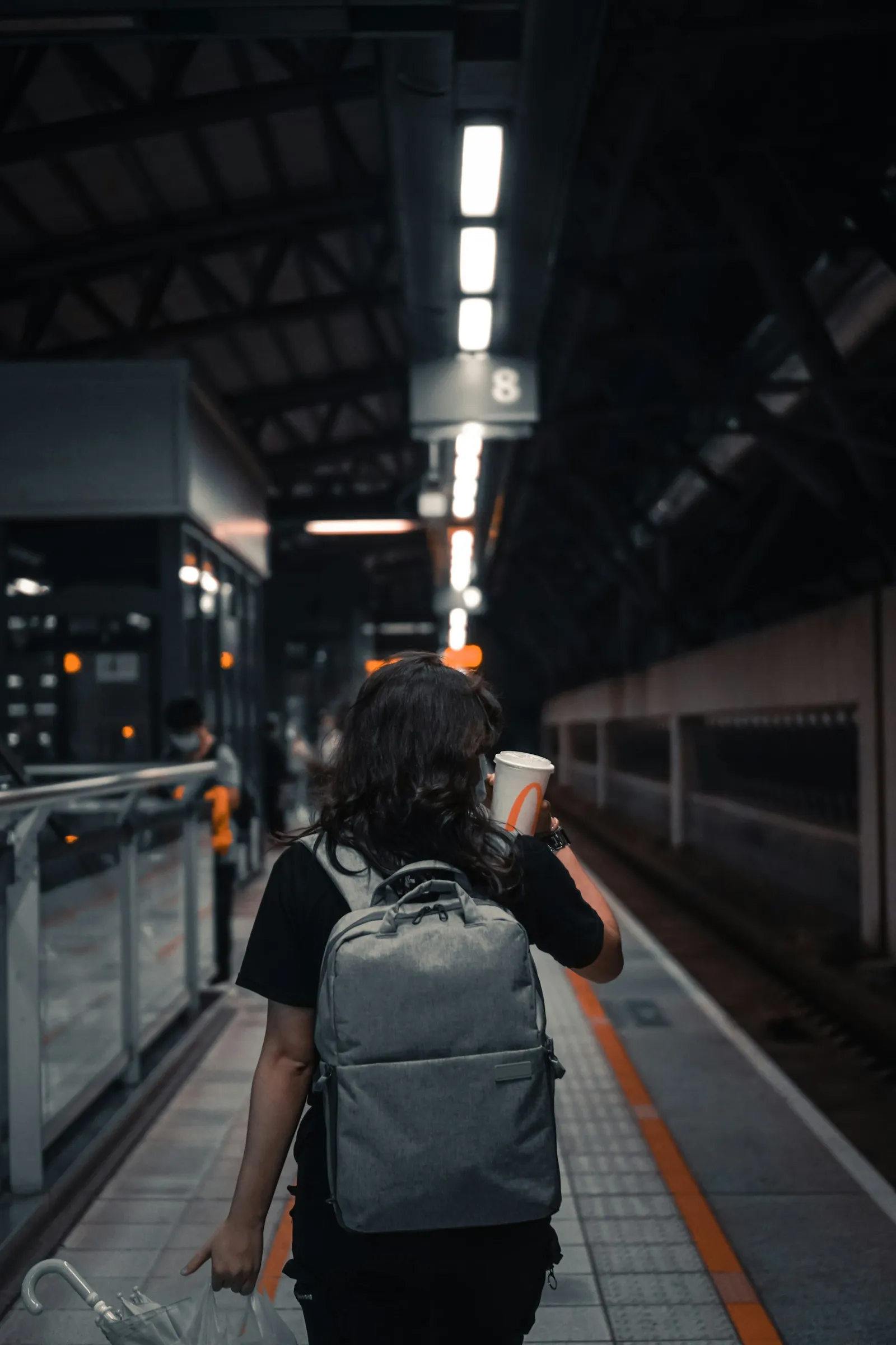Peak Design Travel Backpack 45L
